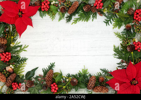 Poinsettia flower background border with holly, mistletoe and winter flora on rustic white wood background. Traditional Thanksgiving theme. Stock Photo