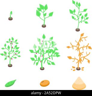 Soybean icons set, isometric style Stock Vector