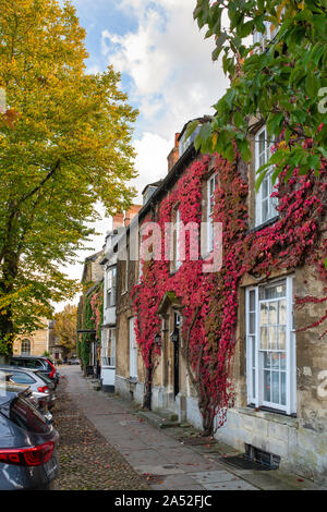 Parthenocissus tricuspidata. Boston Ivy on a house in the autumn in Woodstock, Oxfordshire, UK Stock Photo