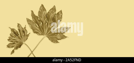 Flat lay Banner of tropical leaves with raindrops on yellow background. retro style. Copy space Stock Photo