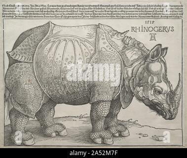 The Rhinoceros, 1515. In May 1515, the first rhinoceros since antiquity to reach Europe alive arrived in Lisbon, Portugal. The ruler of Gujarat, Sultan Muzafar II, presented the exotic beast to the governor of Portuguese India, Alfonso d&#x2019;Albuquerque, who then sent it to King Manuel I. Later that year, the king sent the animal as a political gift to Pope Leo X. Sadly, the ship sank on its way to Italy, and the rhinoceros drowned. D&#xfc;rer and his contemporaries were fascinated with discoveries of the natural world, and as the rhinoceros made its journey, reports of the animal spread ac Stock Photo