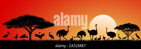 Wild birds of the African savannah against the sky and the sun. Silhouettes of different birds. Wildlife of Africa. Sunset in the savannah. Stock Vector