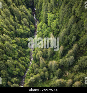 Aerial view of river flowing through dense forest.