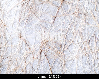 Closeup of handmade paper texture fiber plant nature feeling  background with leaf Stock Photo