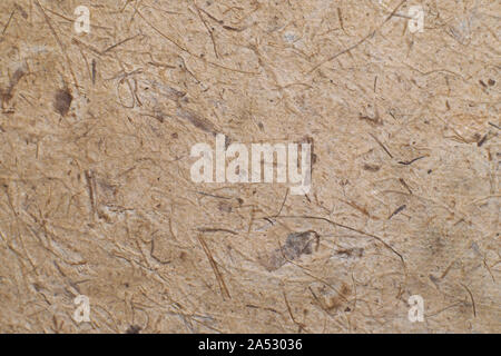 japanese brown craft paper product abstract texture with nature plant tree or leaf material Stock Photo