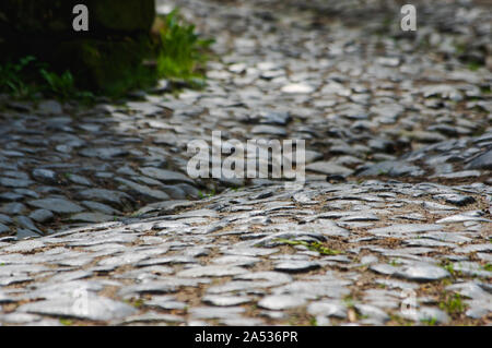 close up of ancient historic cobble stone paved street near Dolny Mlyn in Bohemian Switzerland national park Stock Photo