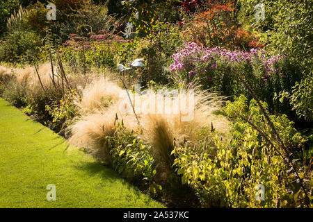 Mixed herbaceous border showing ornamental grasses at their best in early Autumn in an English garden UK Stock Photo