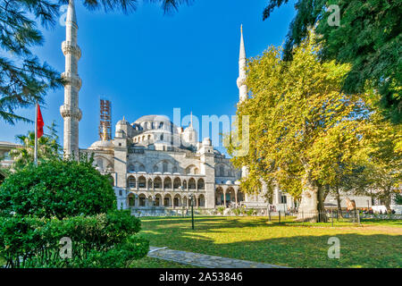 ISTANBUL TURKEY SULTAN AHMED BLUE MOSQUE EARLY MORNING SURROUNDED BY TREES IN LATE SUMMER Stock Photo