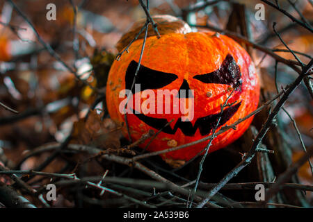 Halloween Pumpkin in the Forest. Scary pumpkin decorations with creepy toothy smile at wood background Stock Photo