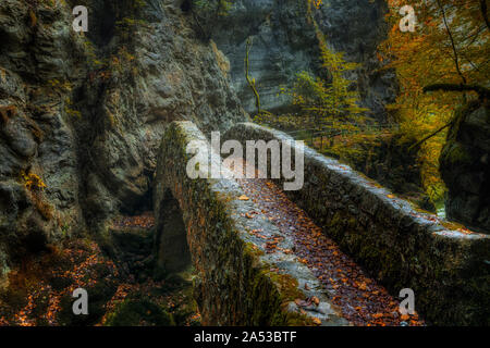 Gorges de l'Areuse, Noirague, Neuchatel, Switzerland, Europe Stock Photo