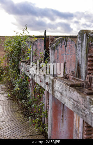 An overgrown old wooden lock gate to control water flow down an old watercourse which would have turned a mill wheel Stock Photo