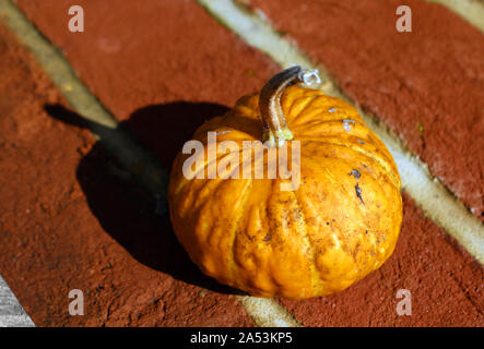 A small pumpkin outside on a wall Stock Photo