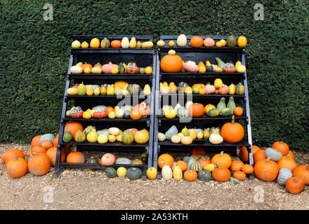 An autumnal display of colourful gourds and pumpkins Stock Photo