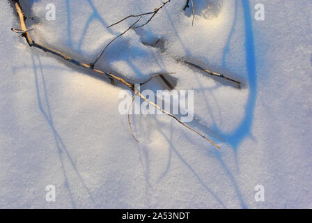 Dry branches without leaves on bright white snow background with shadows, top view Stock Photo