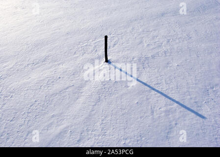 Dry cut reed stem on white snow background with long shadow, top view Stock Photo