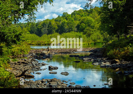 Beaver Dam on Mountain Stream Stock Photo