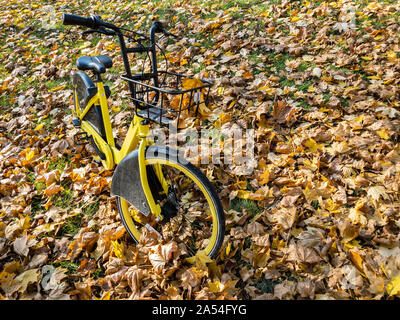parked yellow rent-a-bike in city park. ground covered by fallen dry leaves Stock Photo