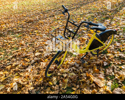 yellow rent-a-bike standing on ground covered by fallen orange foliage Stock Photo