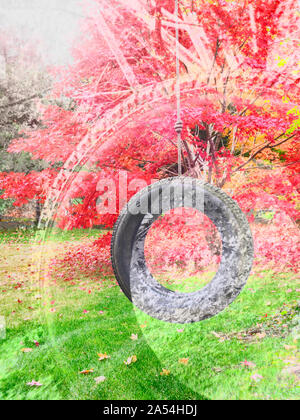 Fall background double exposure with colorful bright red and orange Japanese maple leaves on trees (Acer palmatum) and scattered on the grass on an au Stock Photo