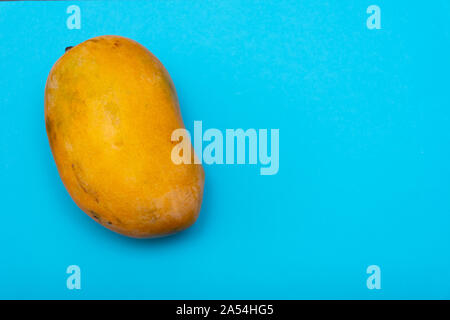 Bright orange Pakistani mango on a bright blue or cyan flat lay background with copy space. Stock Photo