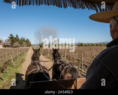 Santiago, Chile - 2019-07-13 - man rides carriage with two horses as seen from behind driver. Stock Photo