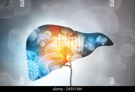 Virus, bacterial infected human liver. 3d illustration Stock Photo