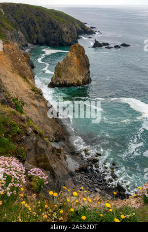 The Rugged coastline of the Copper Coast on the Wild Atlantic Way near Tankardstown on the west coast of the Republic of Ireland. Stock Photo