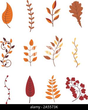 Autumn leaves and branches of different trees colorful illustration. Set september or october leaf fall Stock Vector