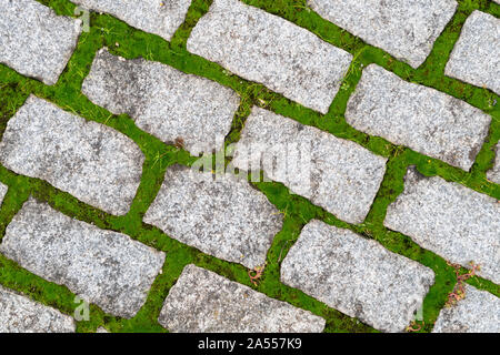 Stone gray pavers with green grass sprouted between tiles. City background Stock Photo