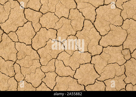 Clay sandy earth parched and cracked Stock Photo