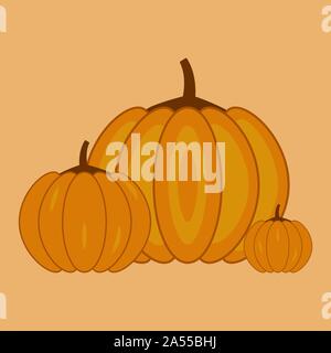 Autumn pumpkins of different sizes. Concept holiday illustration. Halloween. Harvesting Stock Vector
