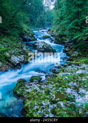 Blurred fast moving water Vintgar Gorge near Lake Bled Slovenia Stock Photo