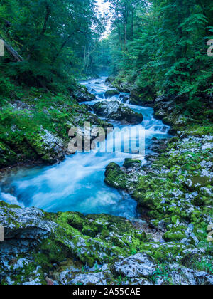 Blurred fast moving water Vintgar Gorge near Lake Bled Slovenia Stock Photo