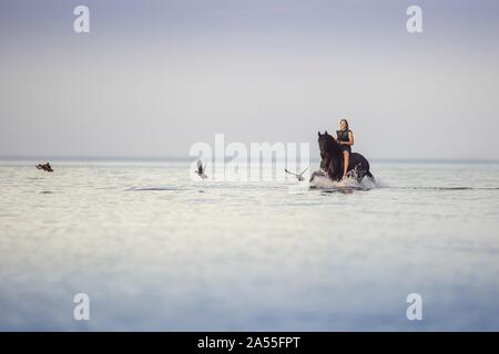 woman with horse Stock Photo