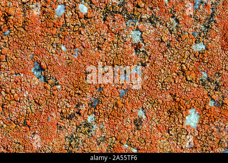 Yellow rough concrele surface close up detail, grunge horizontal shabby background Stock Photo
