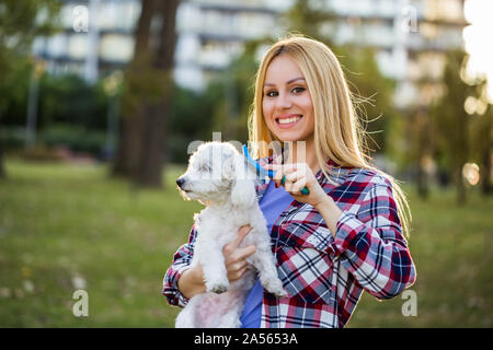 Beautiful woman combing her Maltese dog in the park. Stock Photo