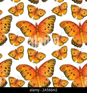 Set of isolated watercolor butterflies on white background. Vintage summer isolated spring art. Watercolor illustrations. wedding card design, insect Stock Photo