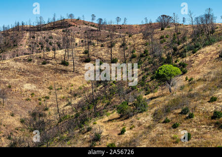 Burned hills in Portugal Stock Photo