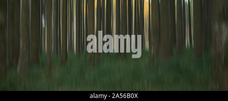 Abstract nature background in the forest. Blurred trees effect Stock Photo