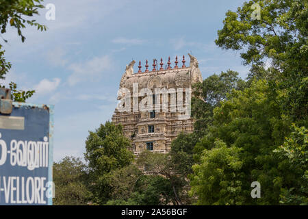 Fort Vellore temple behind the trees and a blue sign showing the monument's name. on a sunny day in September 2019 - India, Tamil Nadu Stock Photo