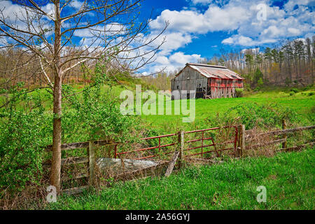 Old Kentucky barn with fence, and tree in the foreground. Stock Photo