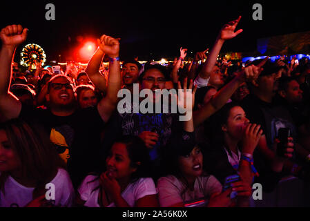 Concert Crowd Shot Stock Photo