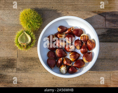 sweet chestnuts in bowl on wooden background in warm sunset light Stock Photo