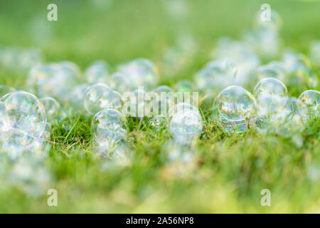 many soap bubbles landing on the green lawn. Stock Photo