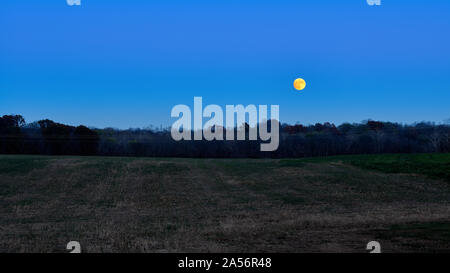 Super Moon Rising Over Field. Stock Photo