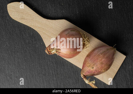 Group of two whole fresh brown shallot on  wooden cutting board flatlay on grey stone Stock Photo