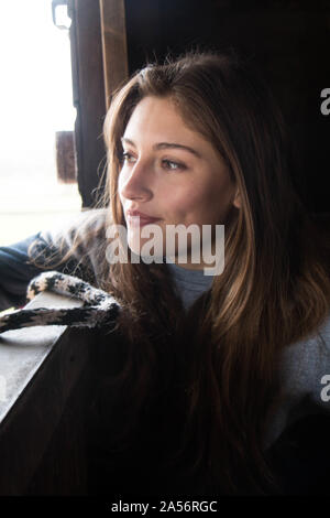 Sophie, horse portrait, 2018 4 Stock Photo