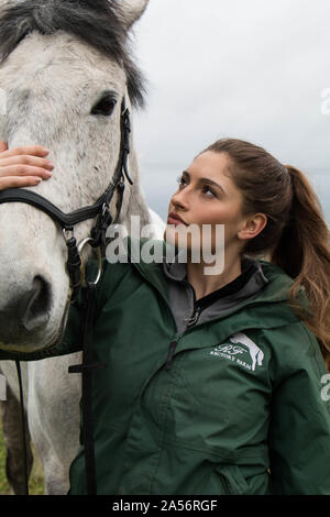 Sophie, horse portrait, 2018 2 Stock Photo