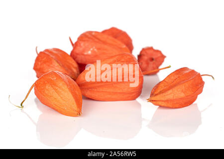 Lot of whole fresh orange physalis isolated on white background Stock Photo
