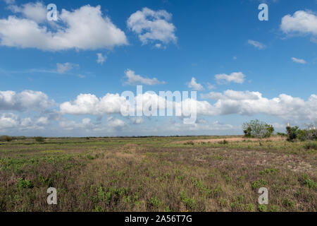 View of the Palo Alto Battlefield National Historical Park in Brownsville, Texas Stock Photo